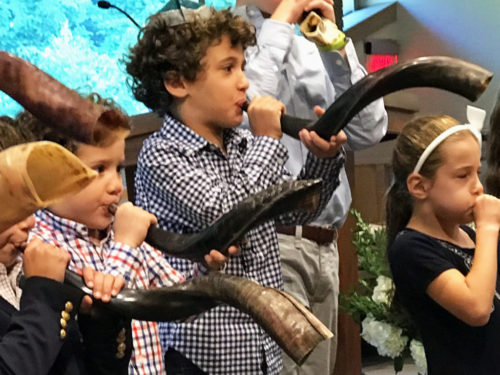 shofar choir a