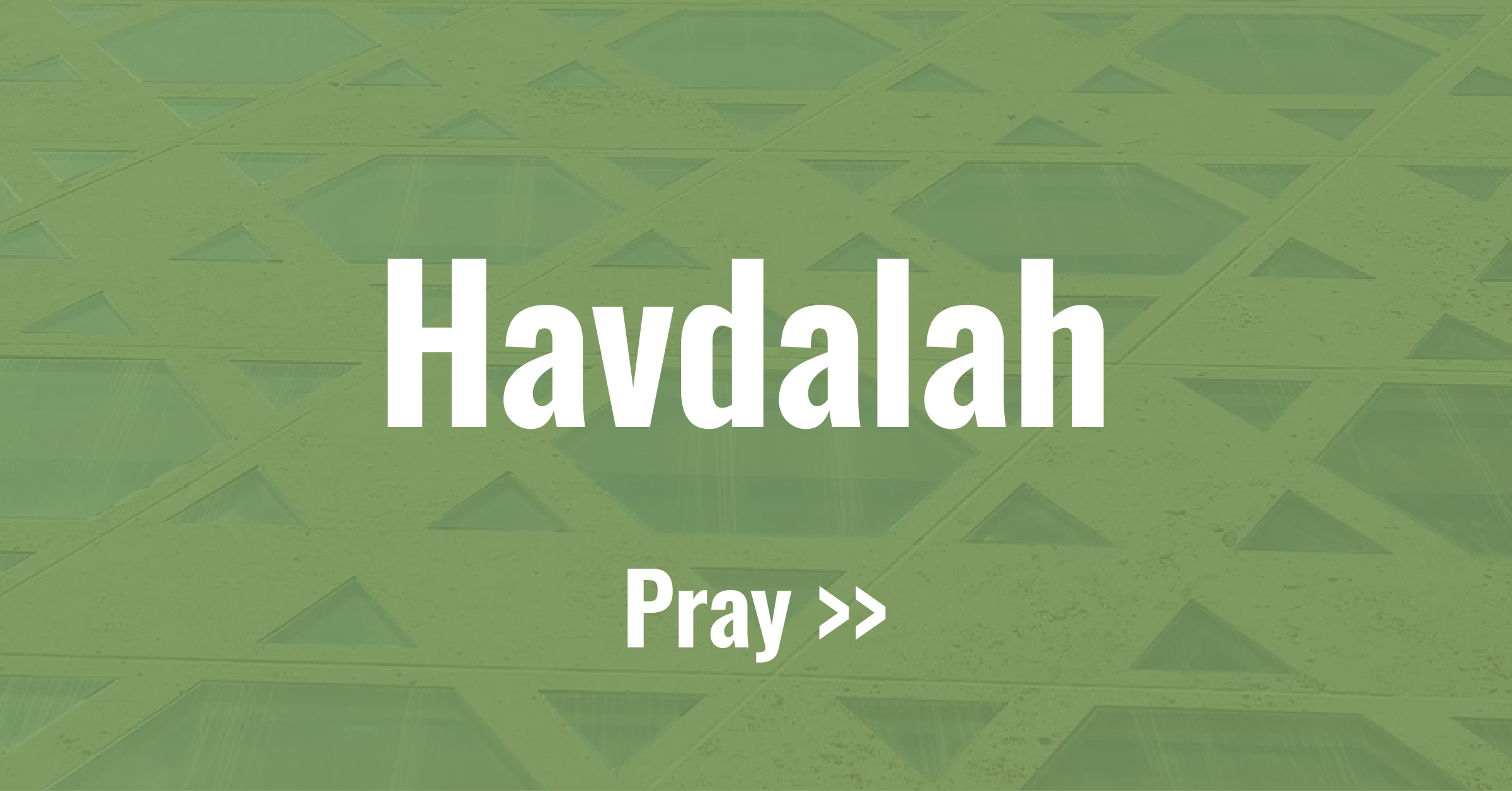 Virtual congregation temple israel