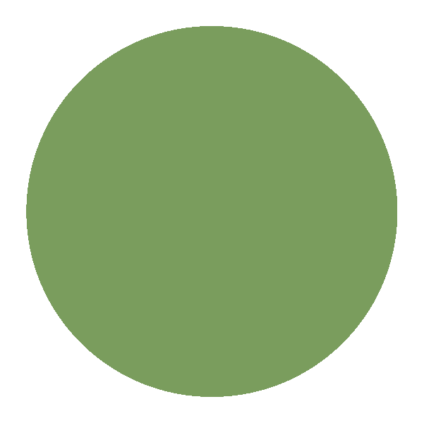 color circles_green color circles_green