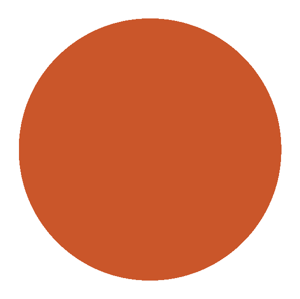 color circles_orange color circles_orange