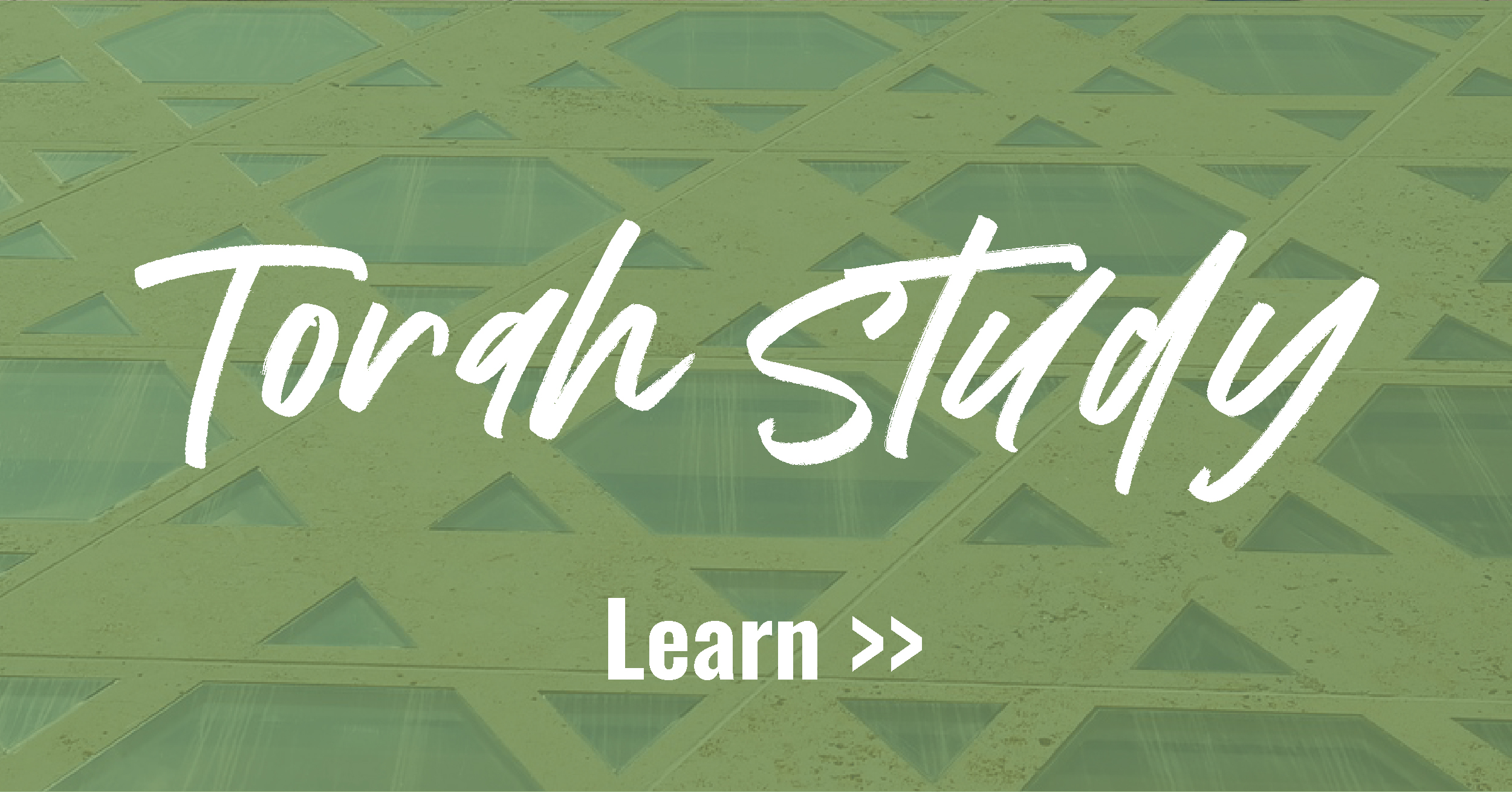 shabbat social_torah study