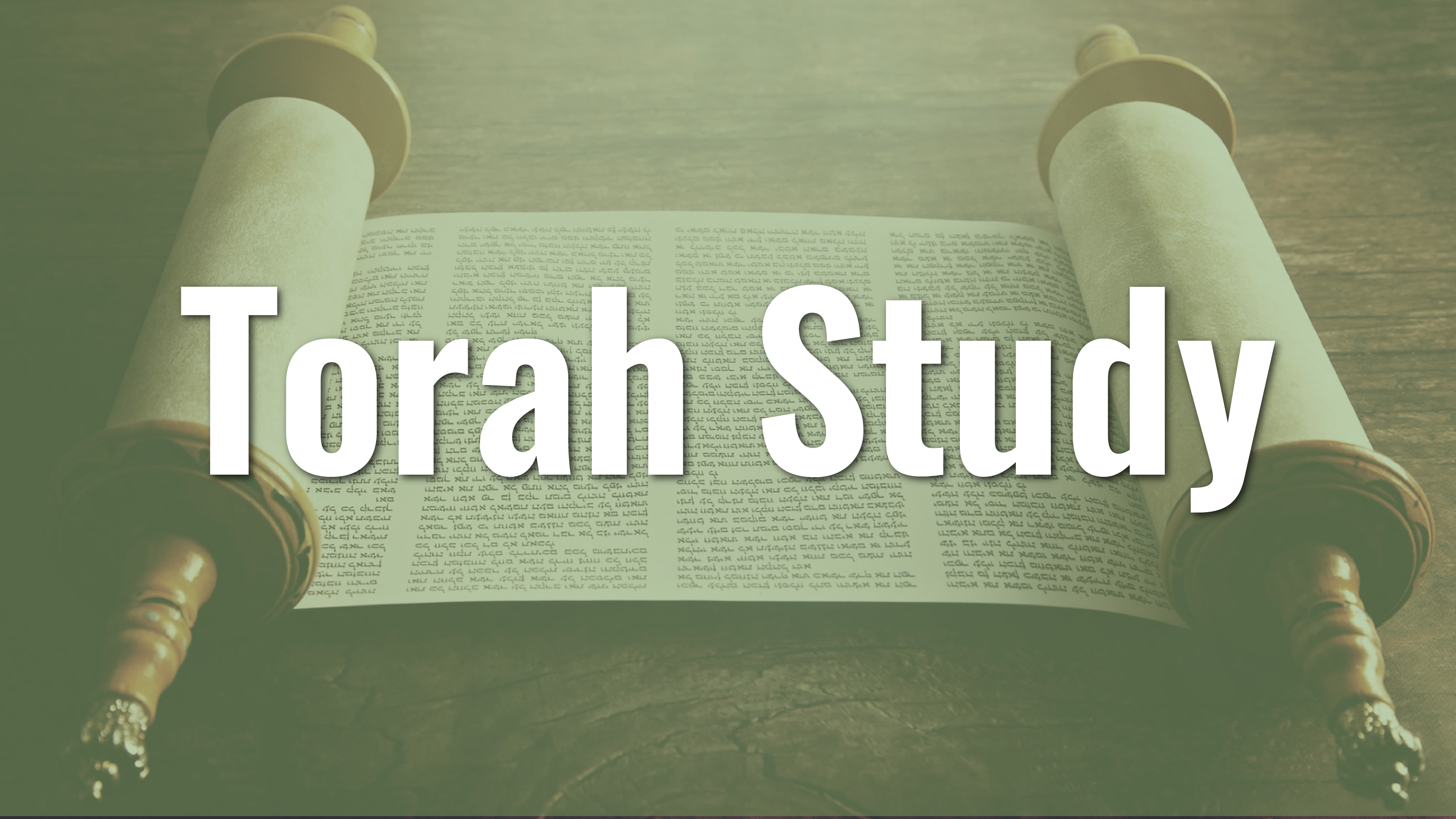 torah studyArtboard 1