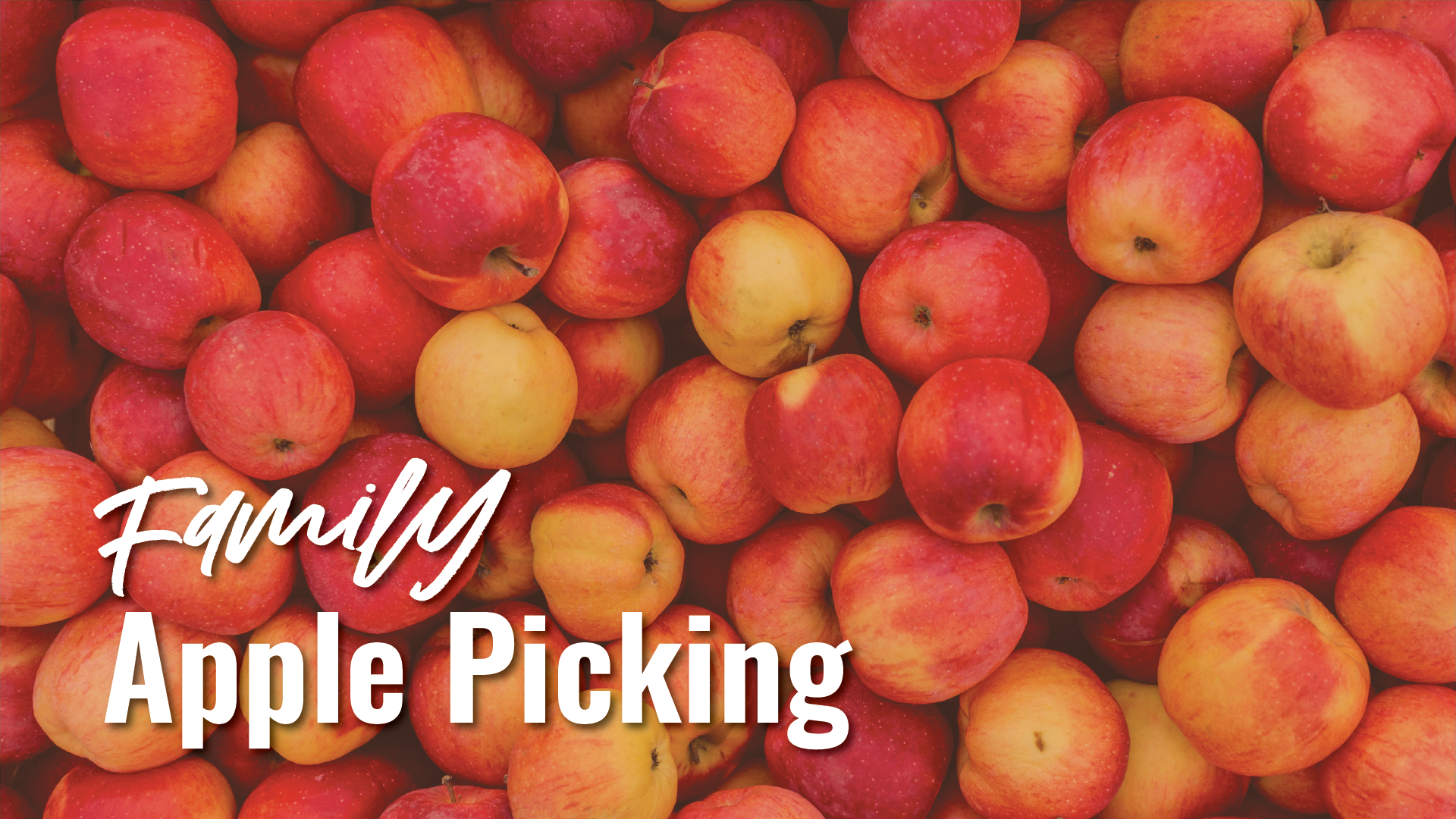 familyapplepickingArtboard 1