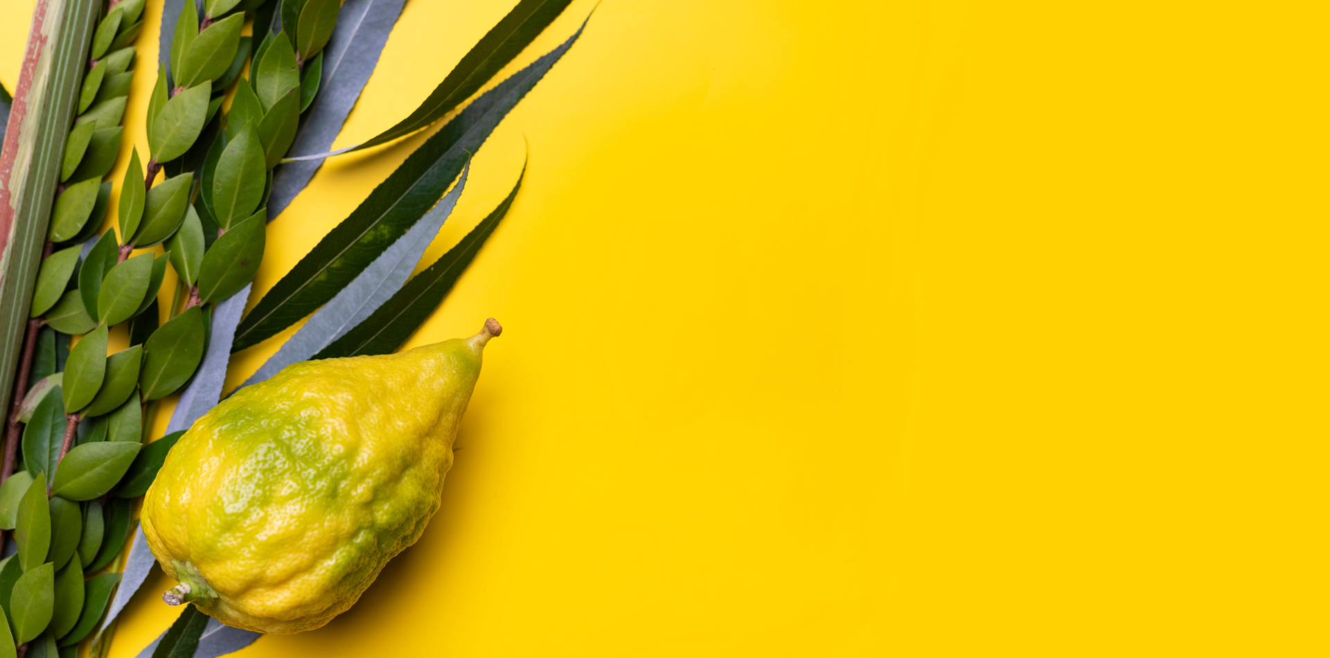 Sukkot